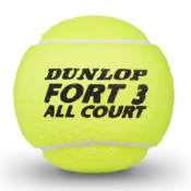 CARTON BALLES DUNLOP FORT ALL COURT