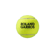 BALLES ROLAND GARROS ALL COURT x4