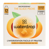 MICRODRINK THE GLACE PECHE X12