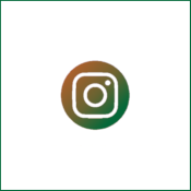 Bouton Instagram